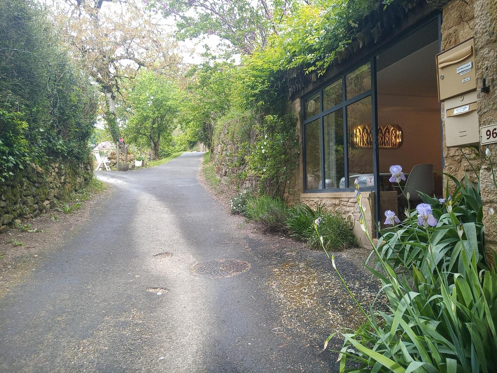 Chambre Du Sabotier - Studio Troglodytique - A 100 M Baignade En Riviere - Location De Canoe - Circuits Cyclo - Aire De Pique-Nique - 3 Restaurants Castelnaud La Chapelle Εξωτερικό φωτογραφία